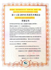 CERTIFICADO HONORIFICO 2014 - HANGZHOU